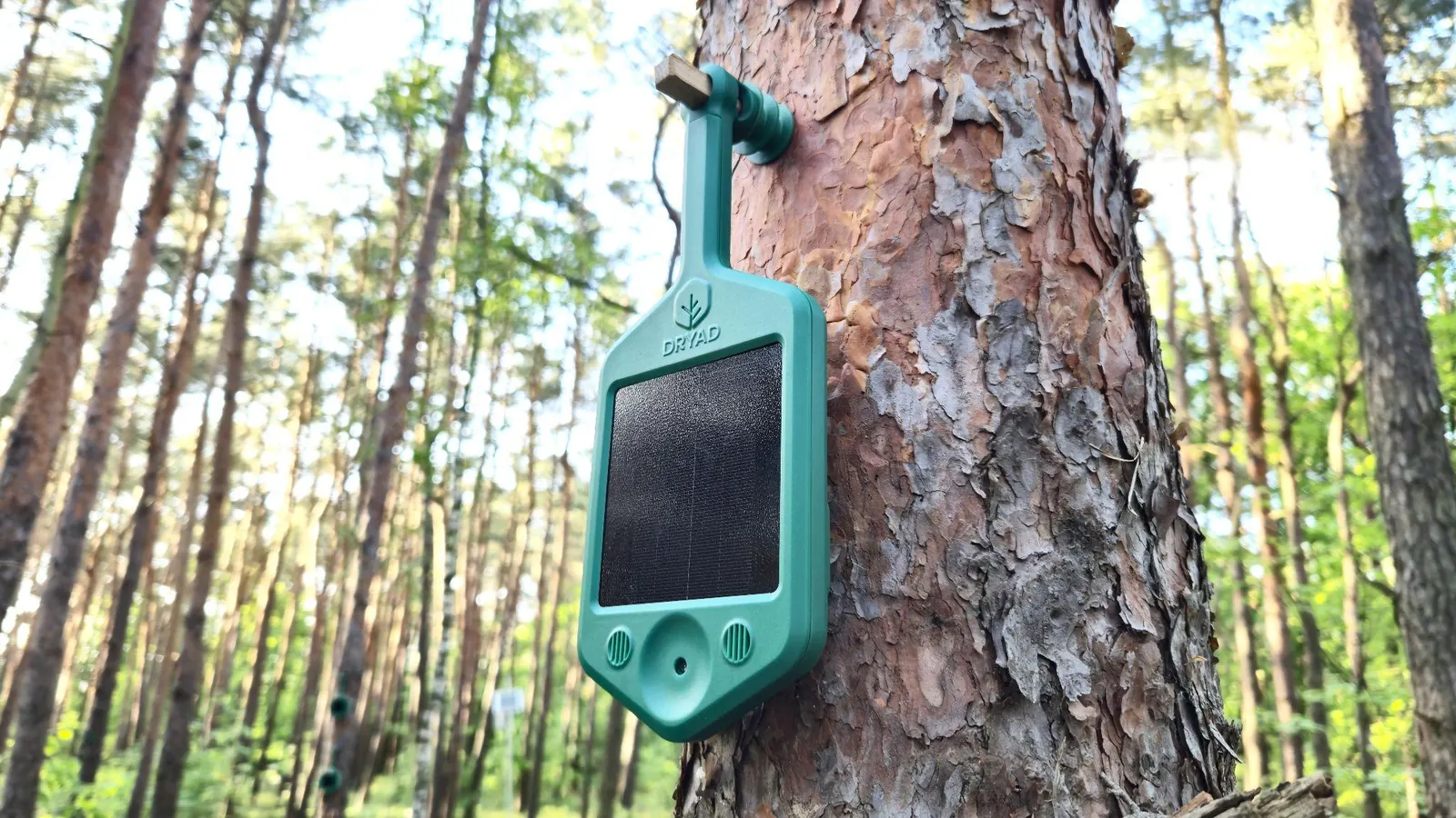 Sensor Silvanet Gen 4 Pro instalado en el tronco de un pino